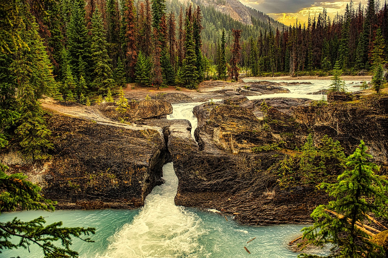 What Role Do National Parks Play in Conservation?